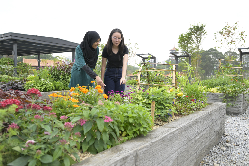 Edibles Garden